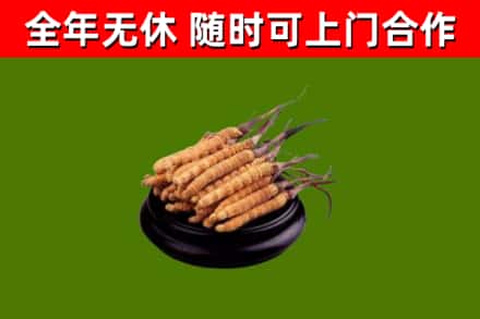 松潘县烟酒回收冬虫夏草.jpg